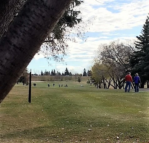 fallpar3edited.jpg