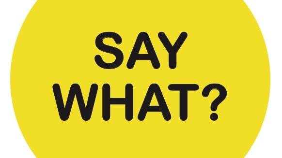 say+what.jpg