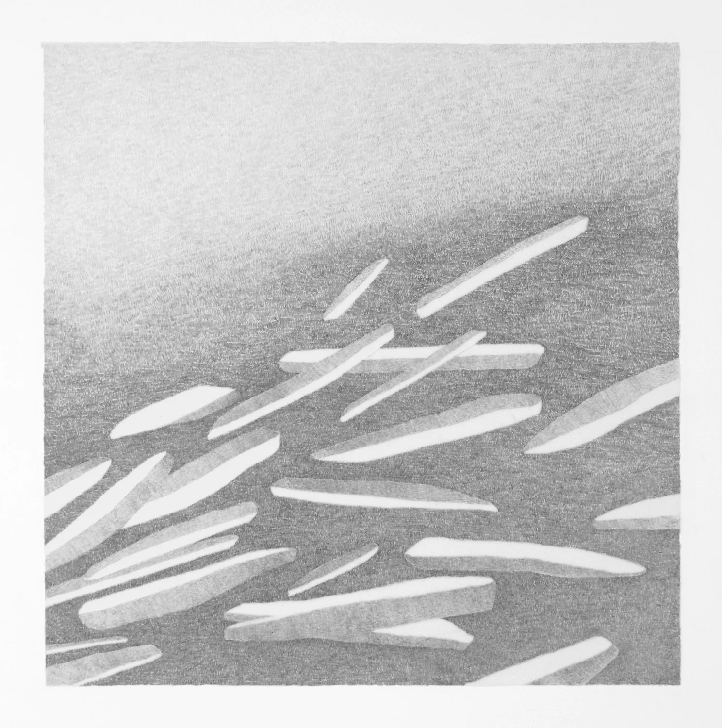 'Etro' graphite on mylar over sintra 14 x 14"
