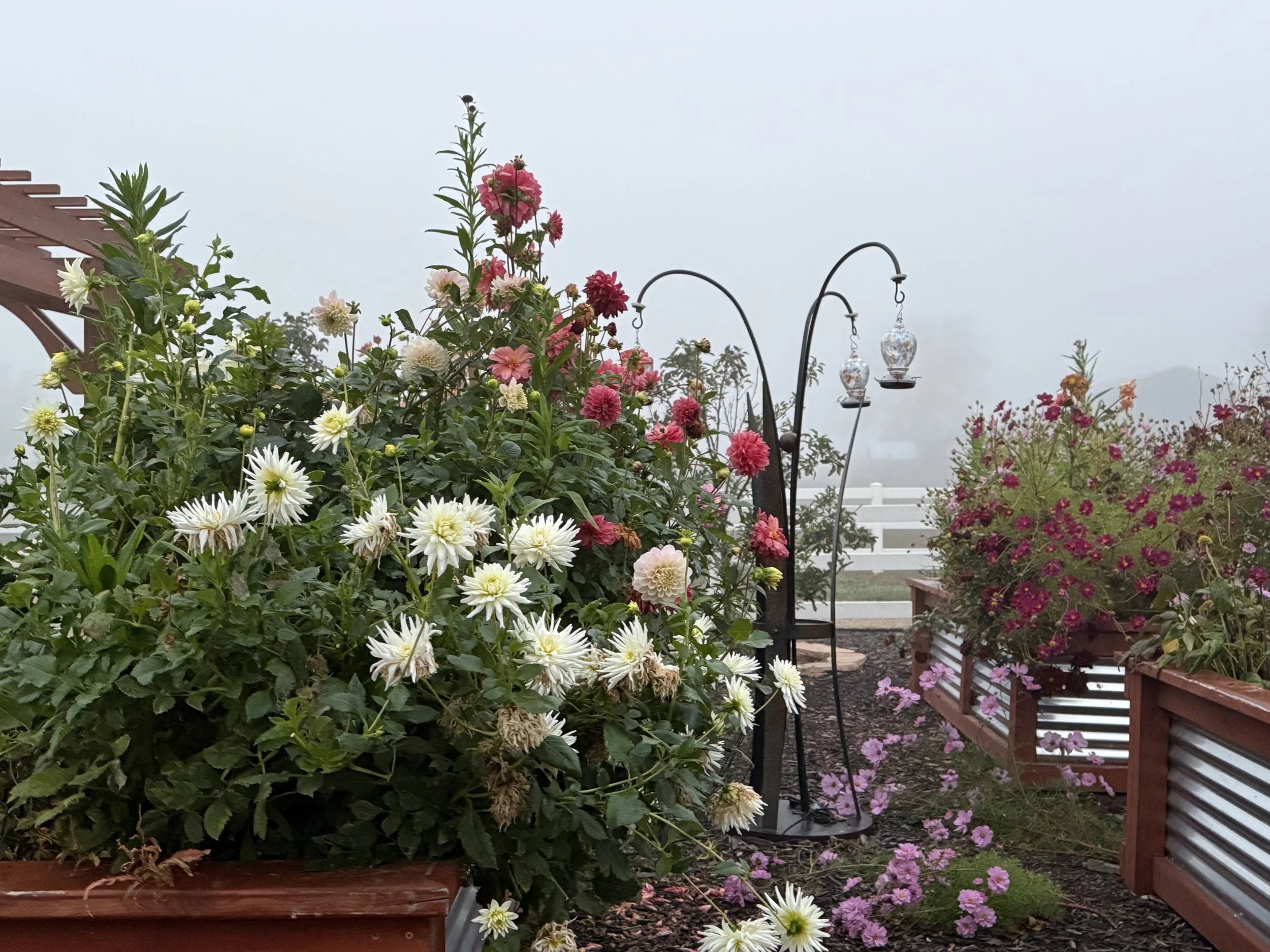 Thoughts on 2025 heading towards 2026