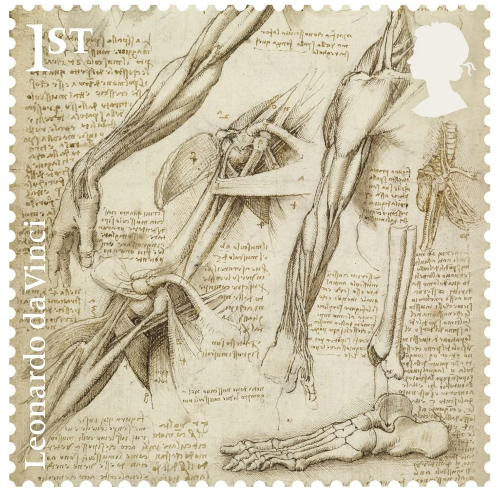 The skeleton (c.1510–11) on view at Cymru/National Museum Wales, Cardiff