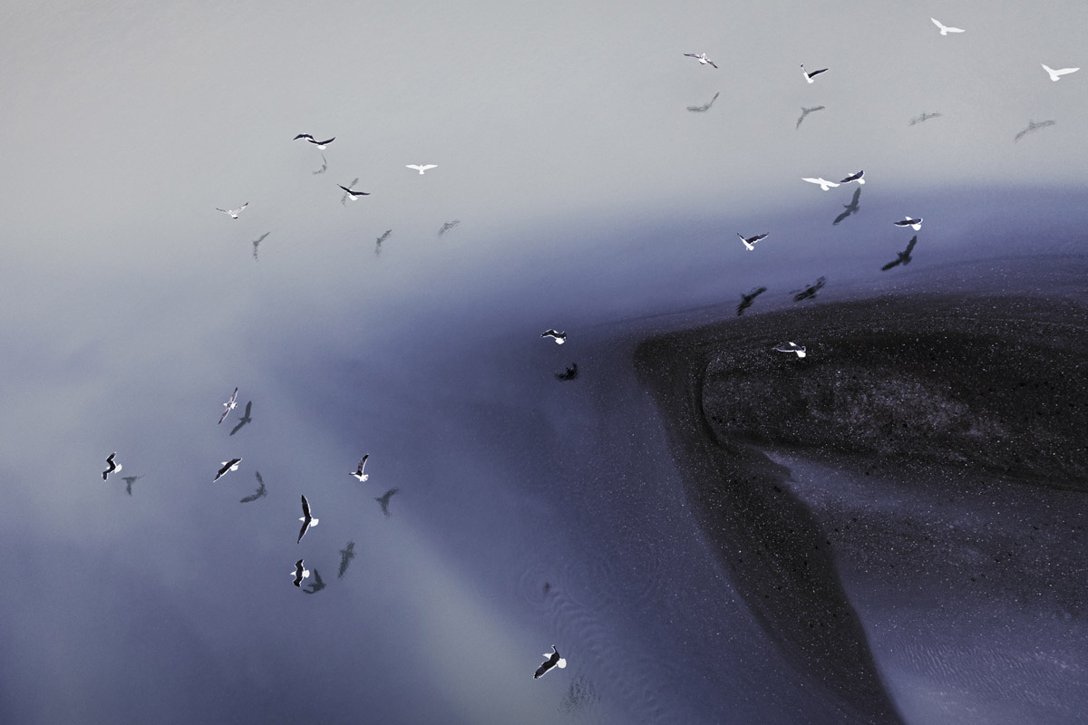 Zack_Seckler_Retrospective_06-1.jpg