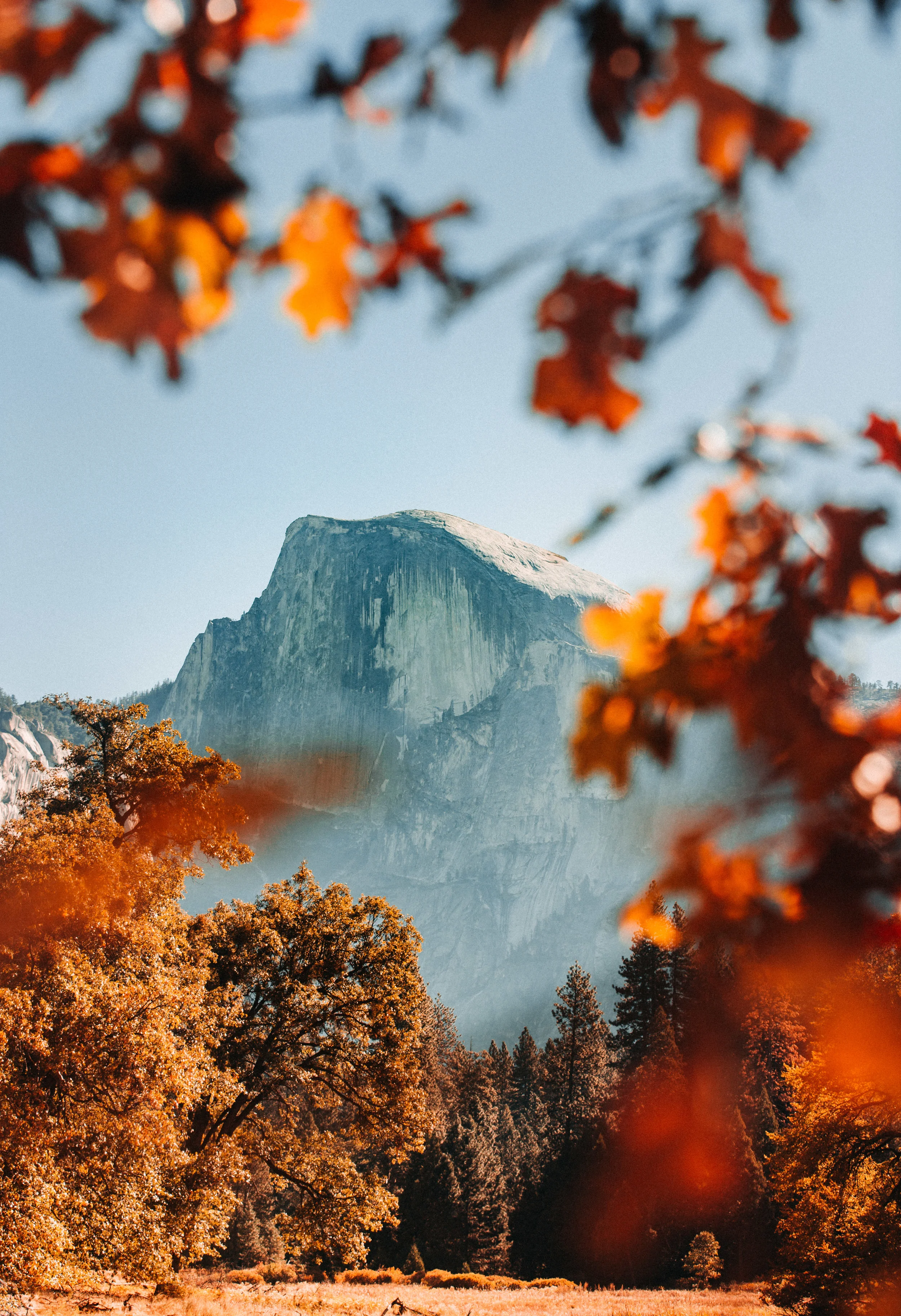 Yosemite-25.JPG