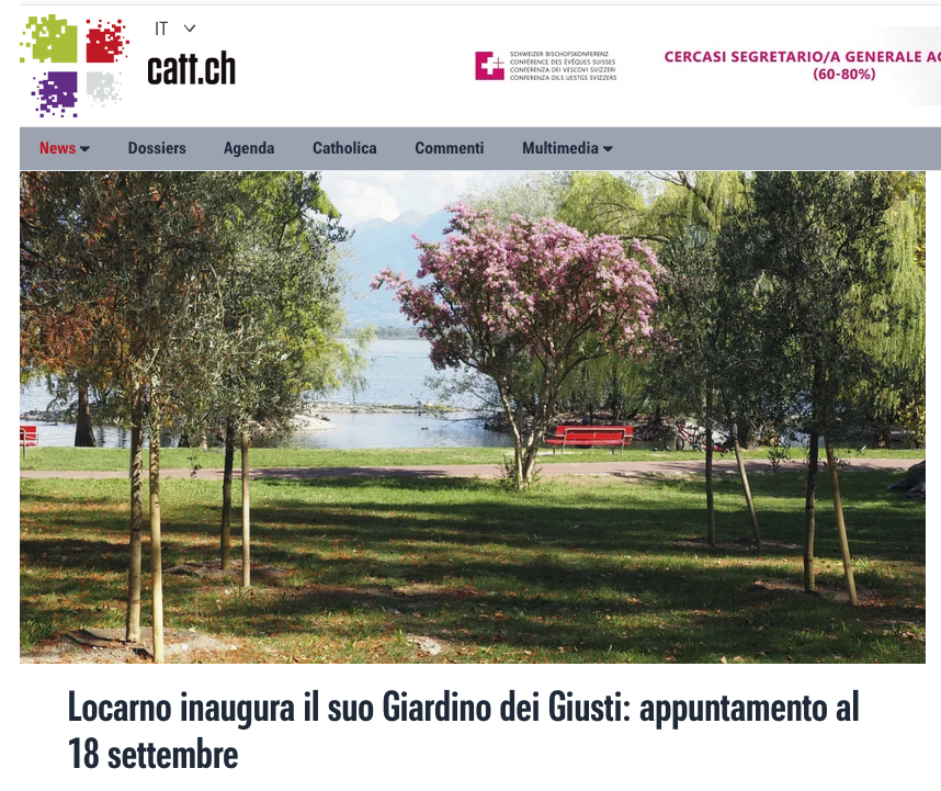 04.09.26 - Catt.ch