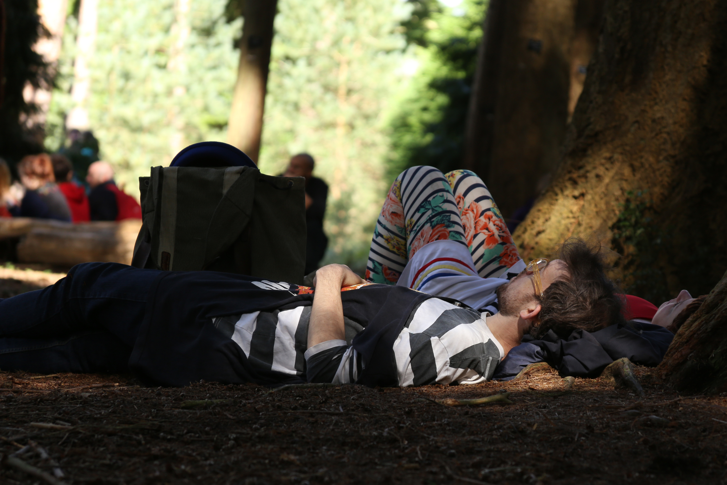  Living Symphonies Installation, Bedgebury Pinetum, 2014 Photograph: Jones/Bulley 