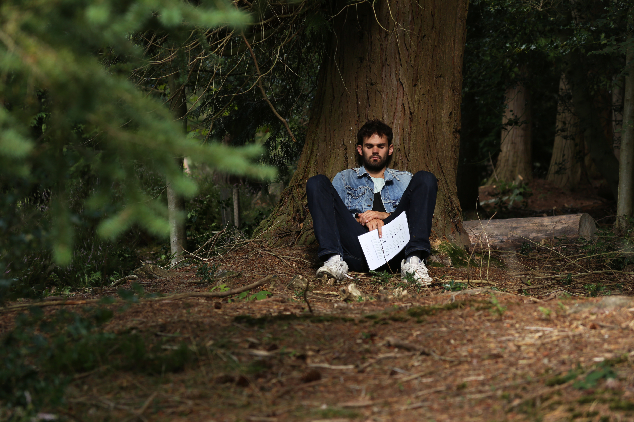  Living Symphonies Installation, Bedgebury Pinetum, 2014 Photograph: Imogen Lloyd 