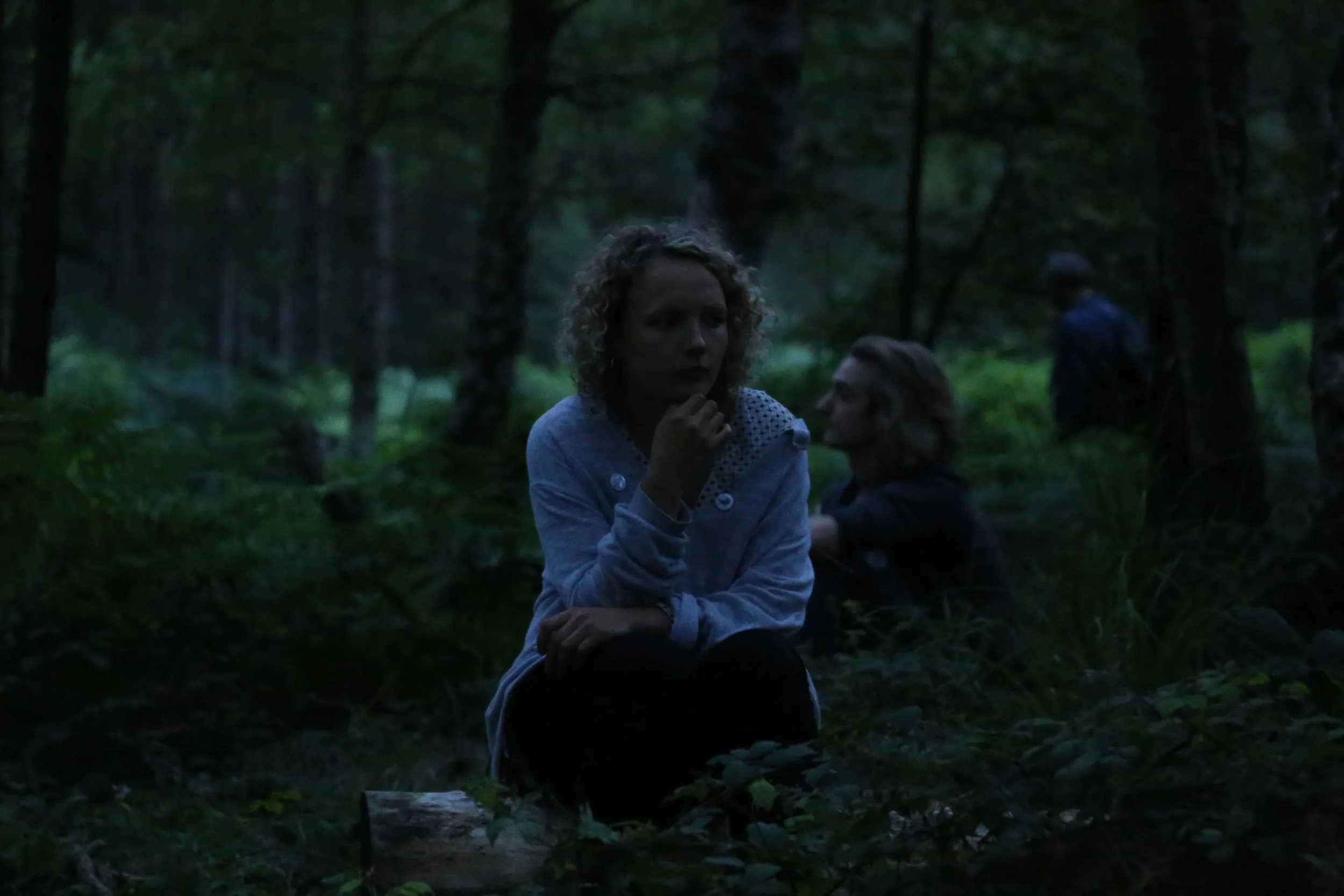  Living Symphonies Installation, Cannock Chase, 2014 Photograph: Imogen Lloyd 