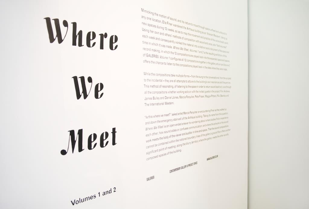 Where We Meet Volumes 1 and 2, Galerie8, 2012