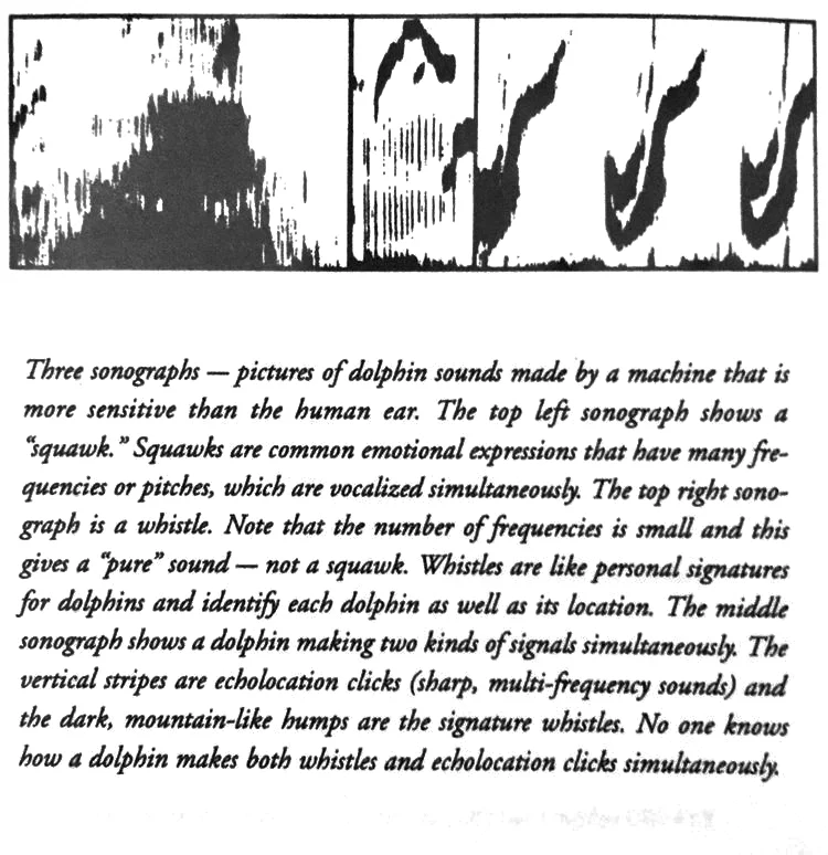 Michael Ondaatje - Coming Through Slaughter (1976)