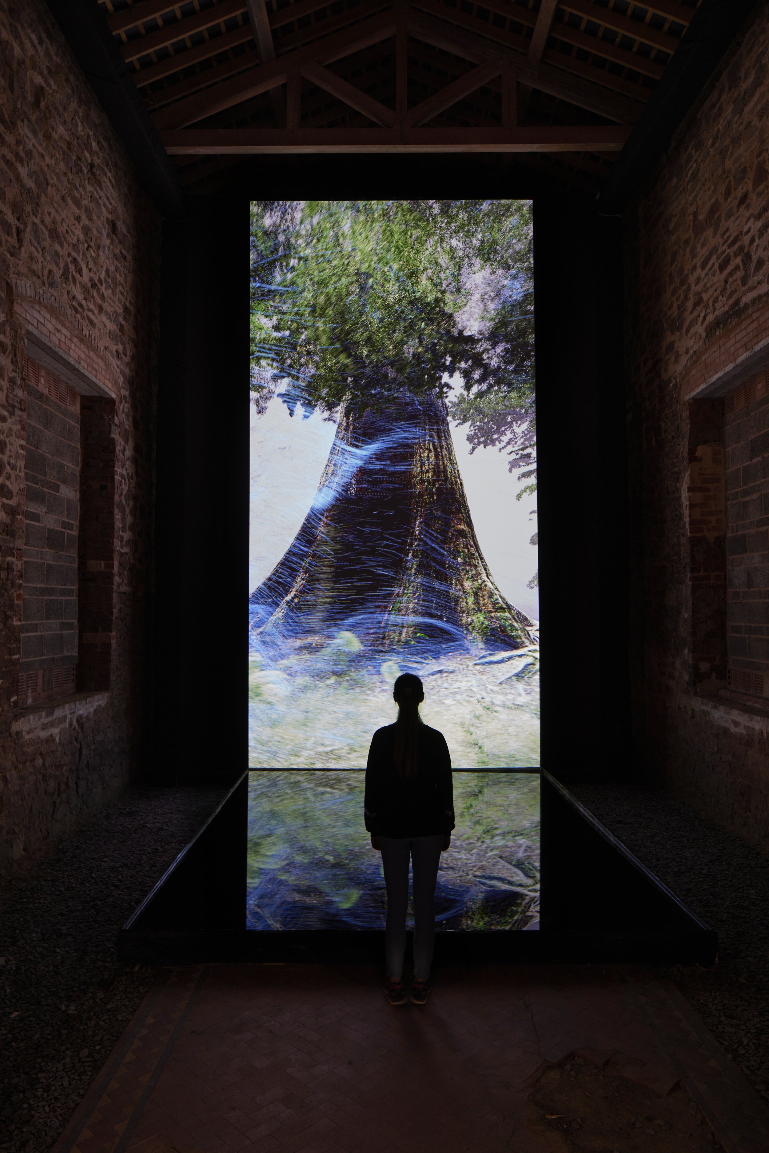 'We Live in an Ocean of Air' - London Road Cemetery Installation. Photograph: Marshmallow Laser Feast.