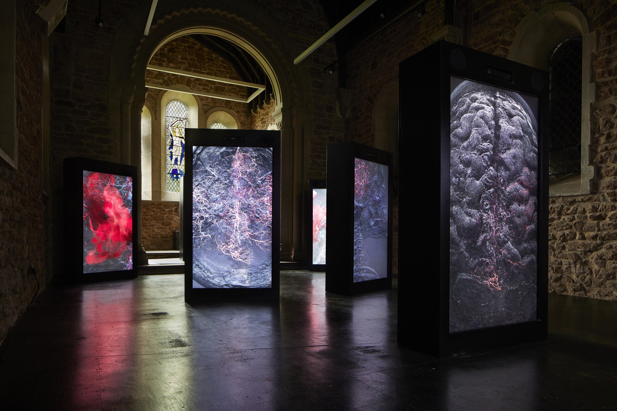 Observations on Being, London Road Cemetery (June 2021). Photograph: David Leven.