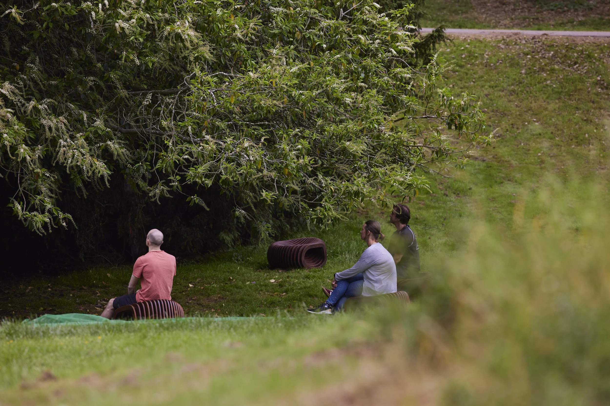 Observations on Being, London Road Cemetery (June 2021). Photograph: David Leven.
