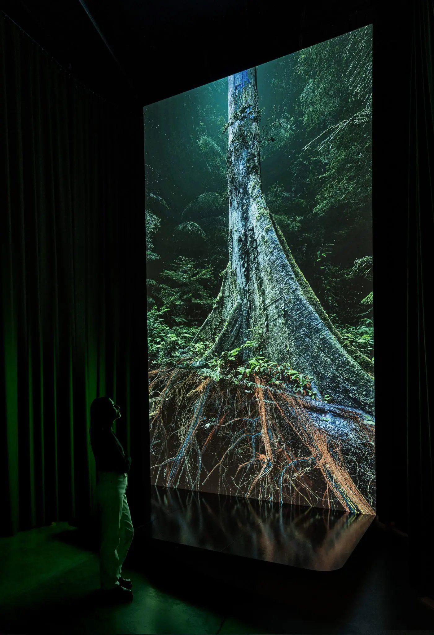 Sanctuary of the Unseen Forest, Our Time on Earth, Barbican Centre, 2022