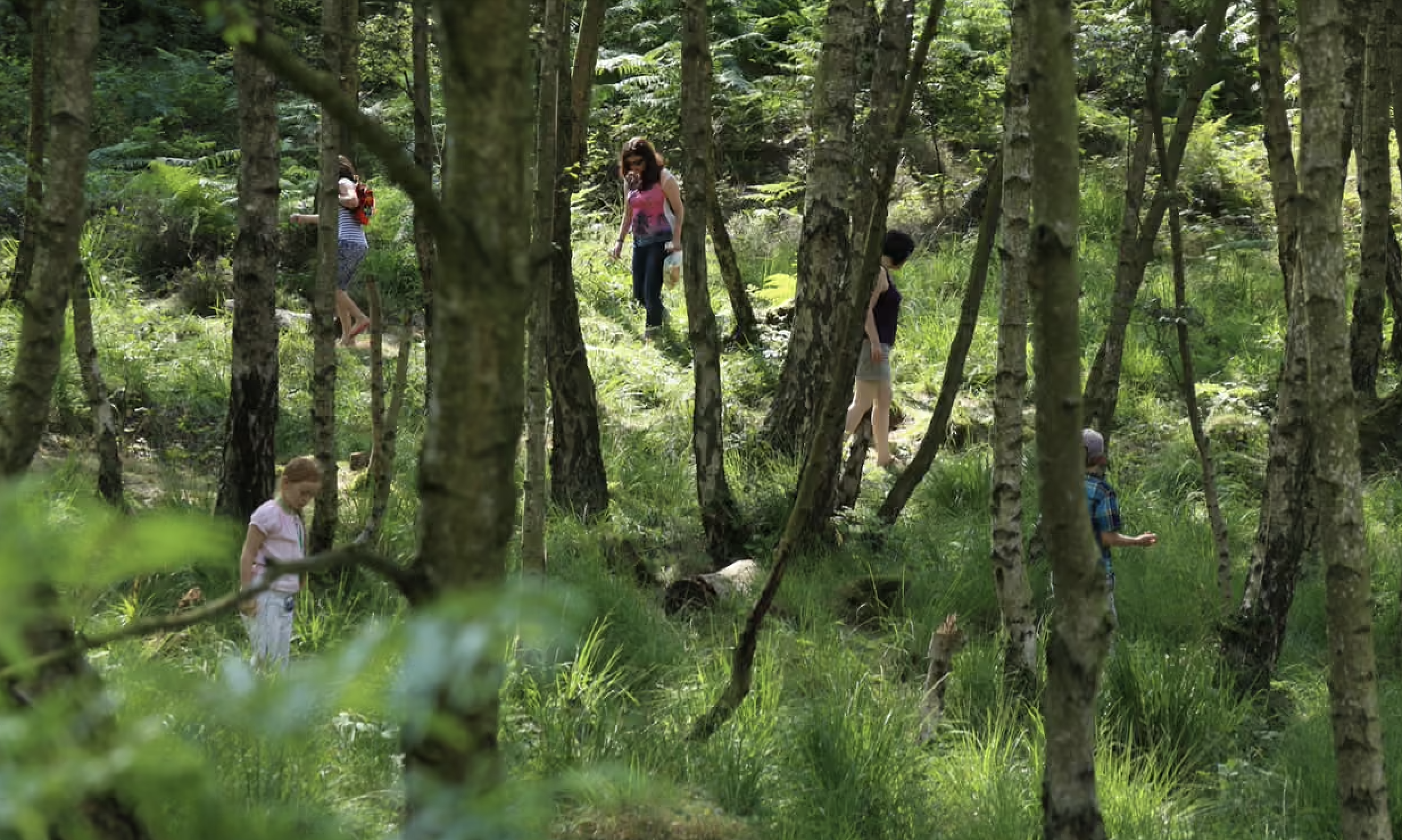 'Living Symphonies' in the Guardian