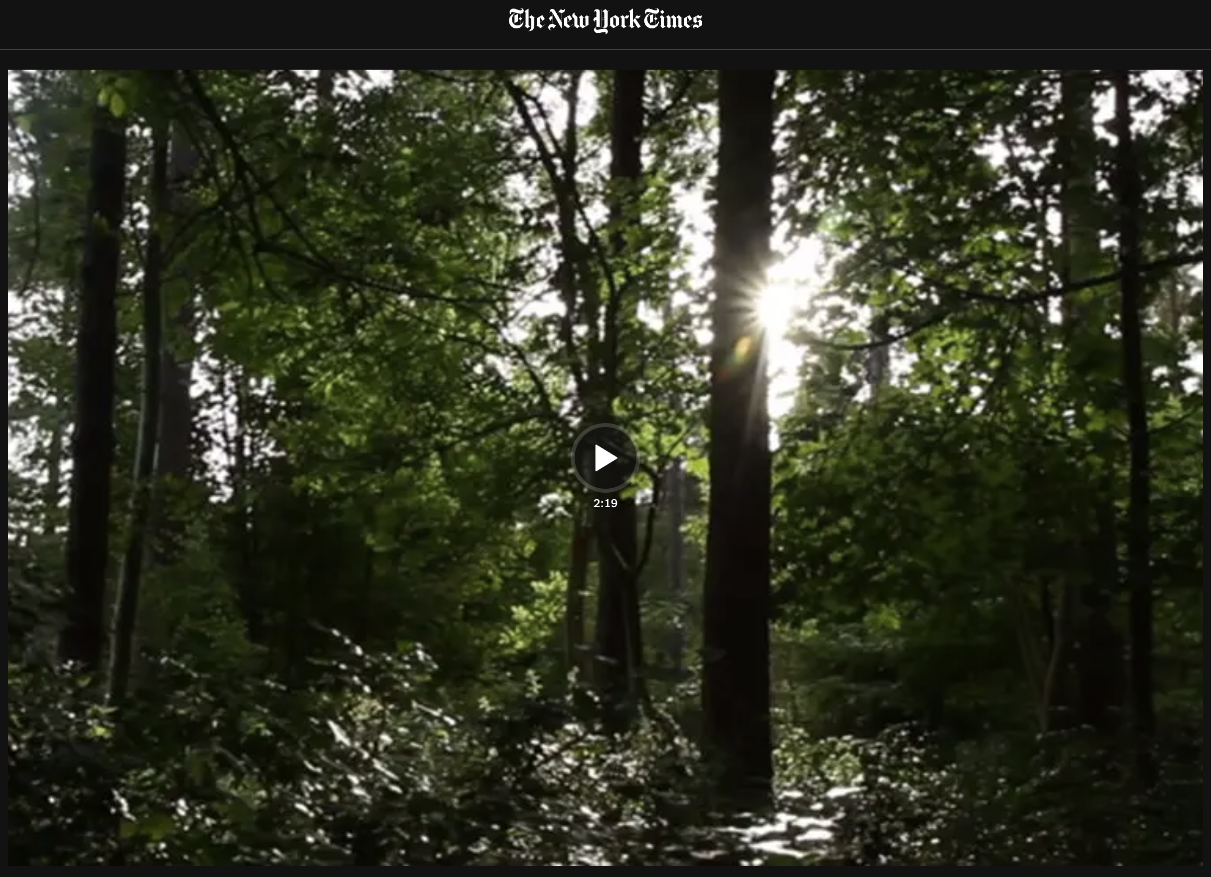 'Living Symphonies' in the New York Times