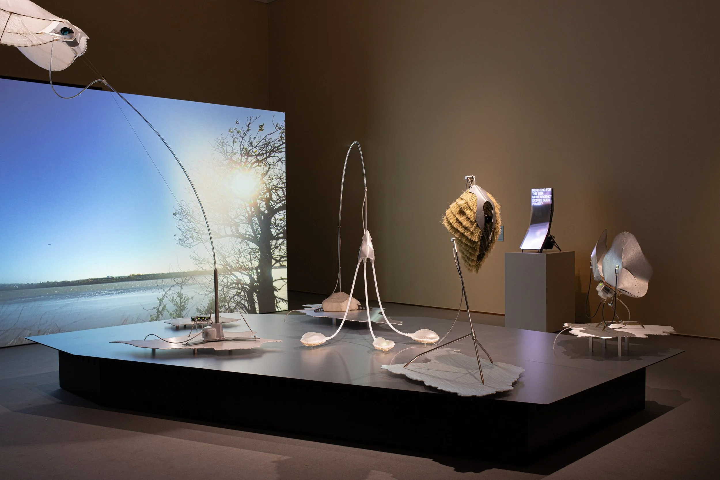 Exhibition view KHM-Museumsverband, Photo: Daniel Sostaric