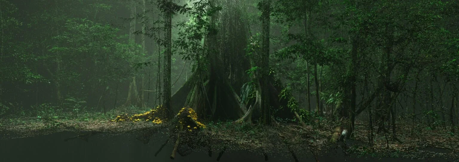 motf_eee_LookDev_forestDaySun_noFog_n_v01-1536x542.jpg
