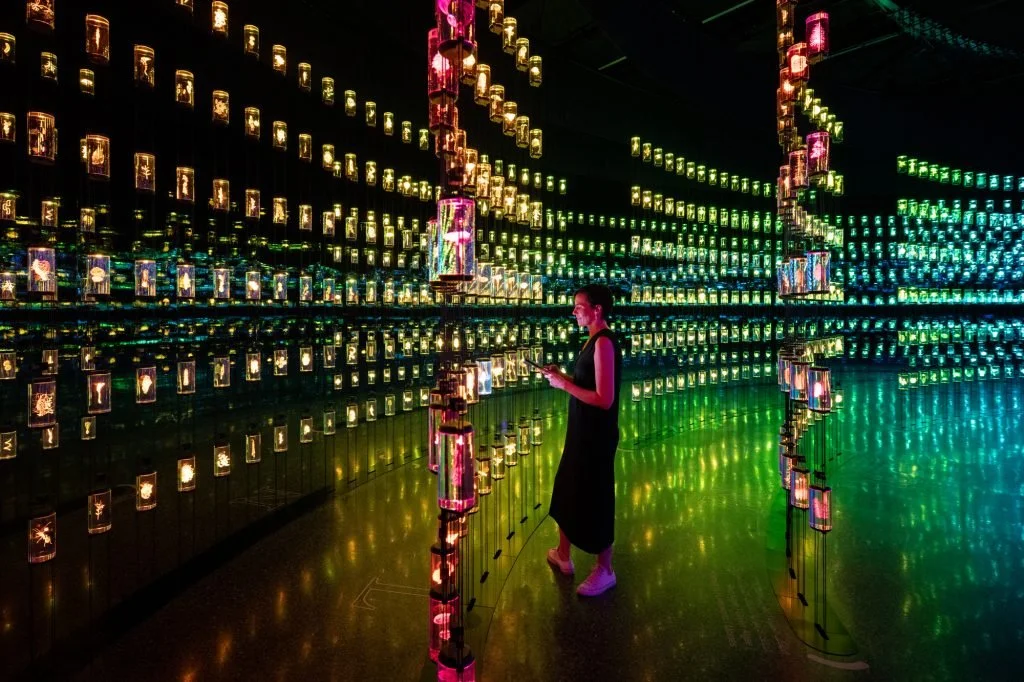 Superflux_MOTF-The-Library-4_Image-Credit-©-Sandra-Ciampone-2022-All-Rights-Reserved-1024x682.jpg
