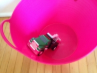Truck is having SUCH a good time! She's zipping around and exploring cool valleys. 