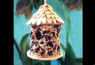 HOW TO MAKE A BIRD HOUSE WITH EDIBLE SEED