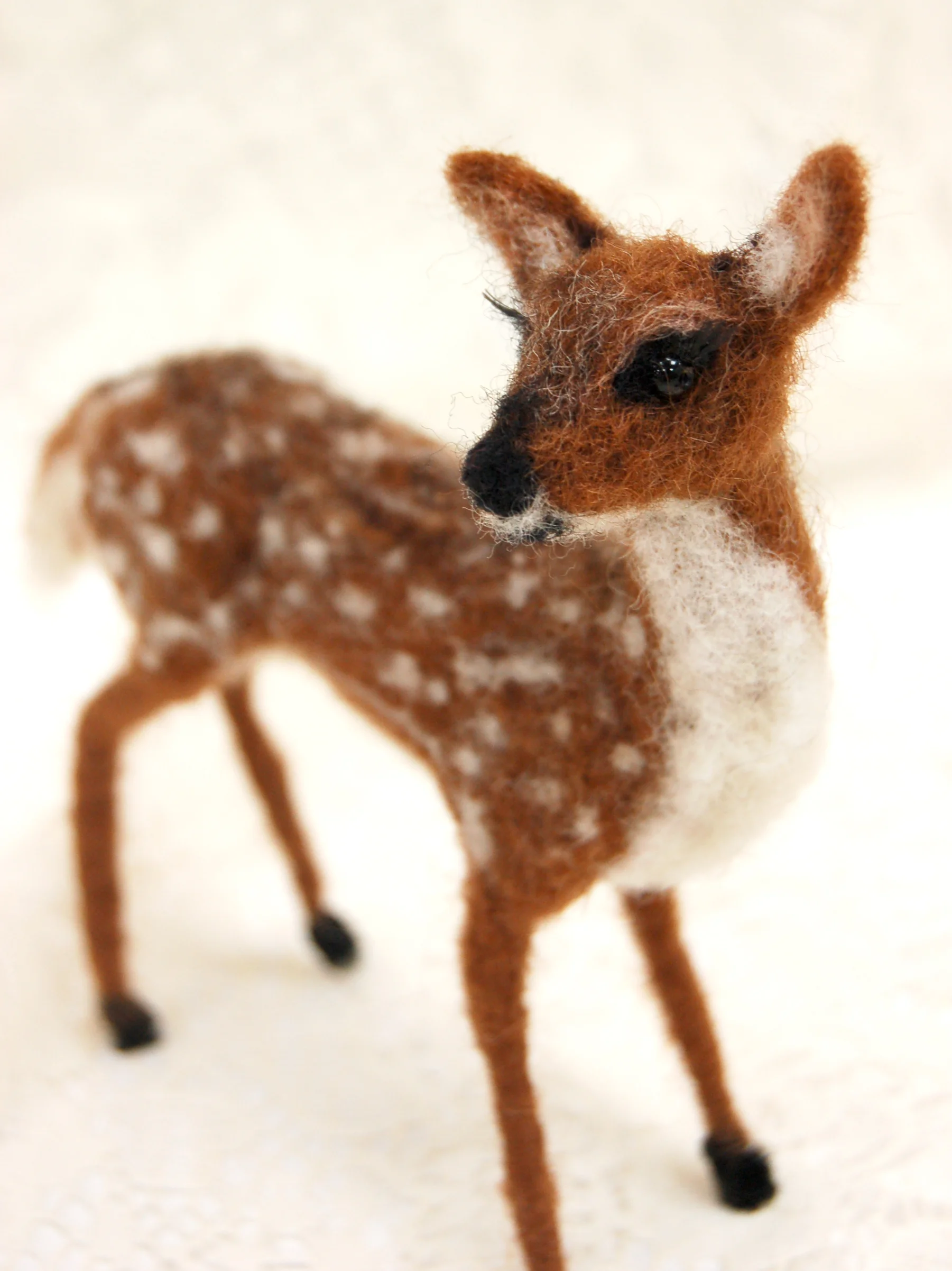 fawn facci.JPG