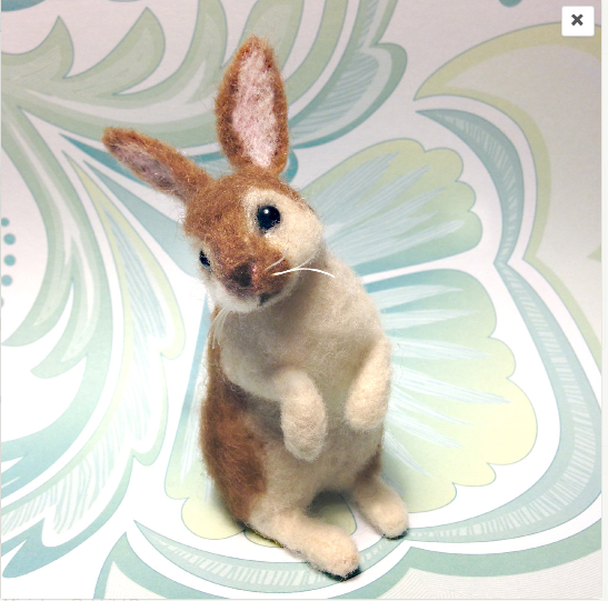 FACCI DESIGNS RABBIT.png