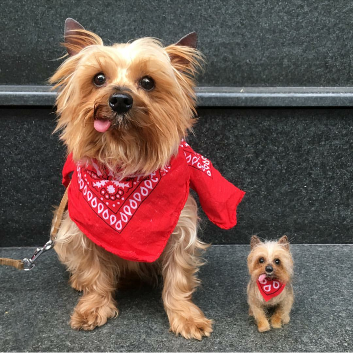 mini cocoa facci designs copy.PNG