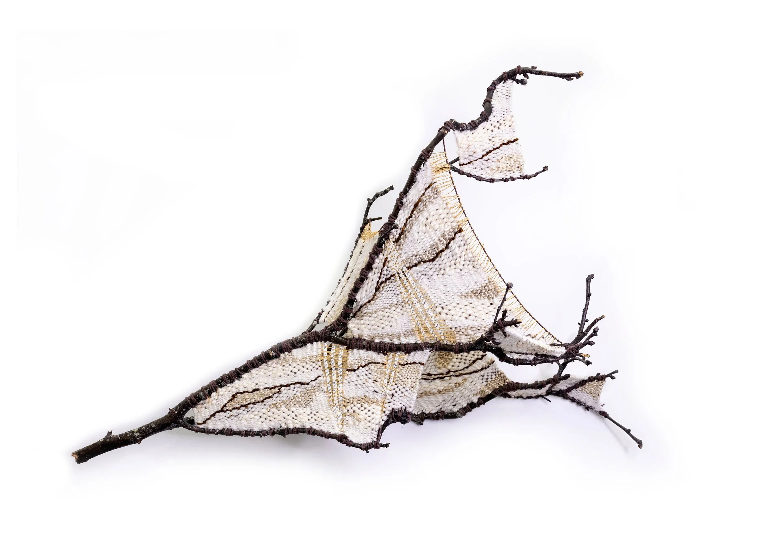 LindaFacci_Branching Out_Fiberart.jpg