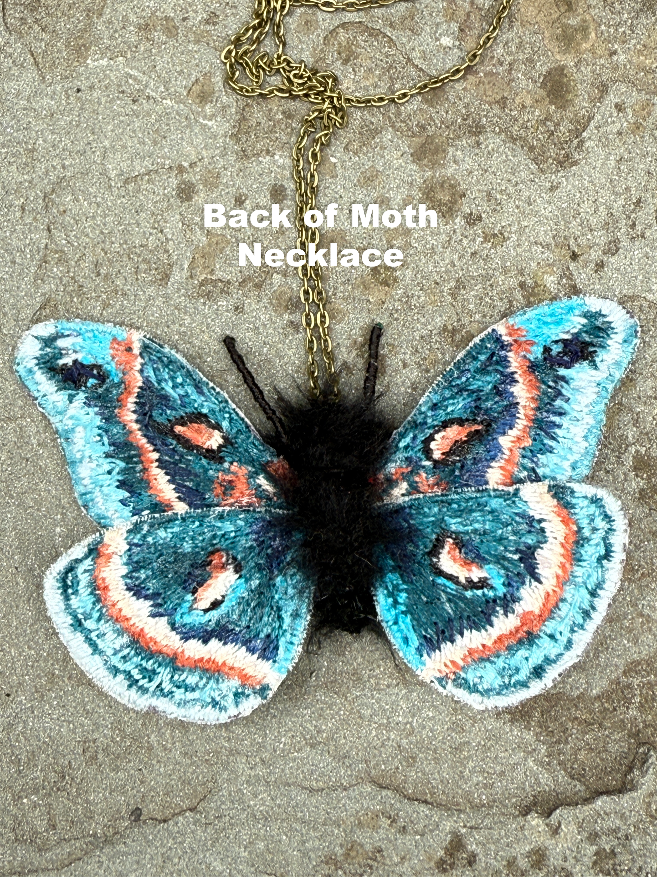 back of moth.png