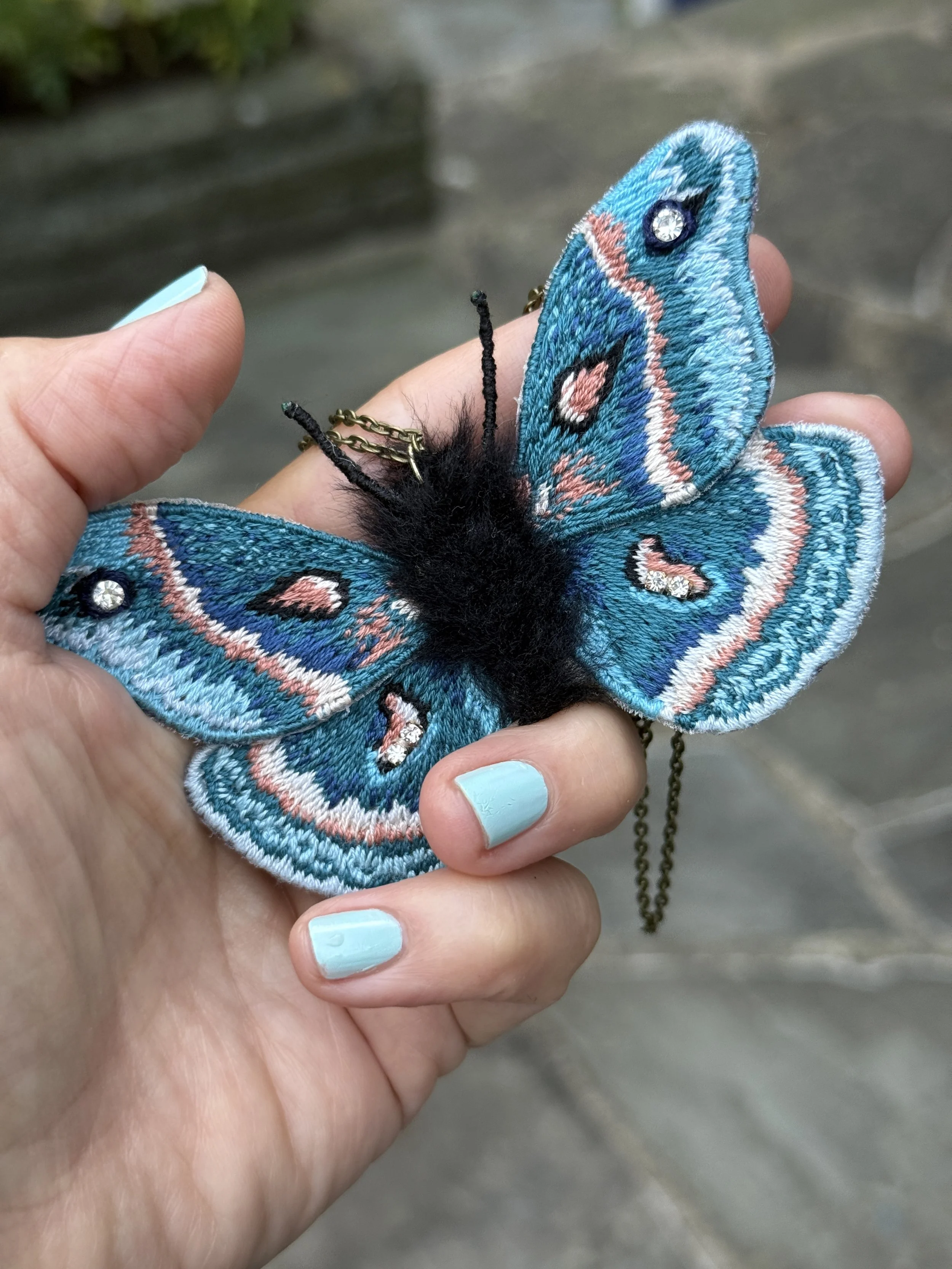 facci blue moth in hand.JPG