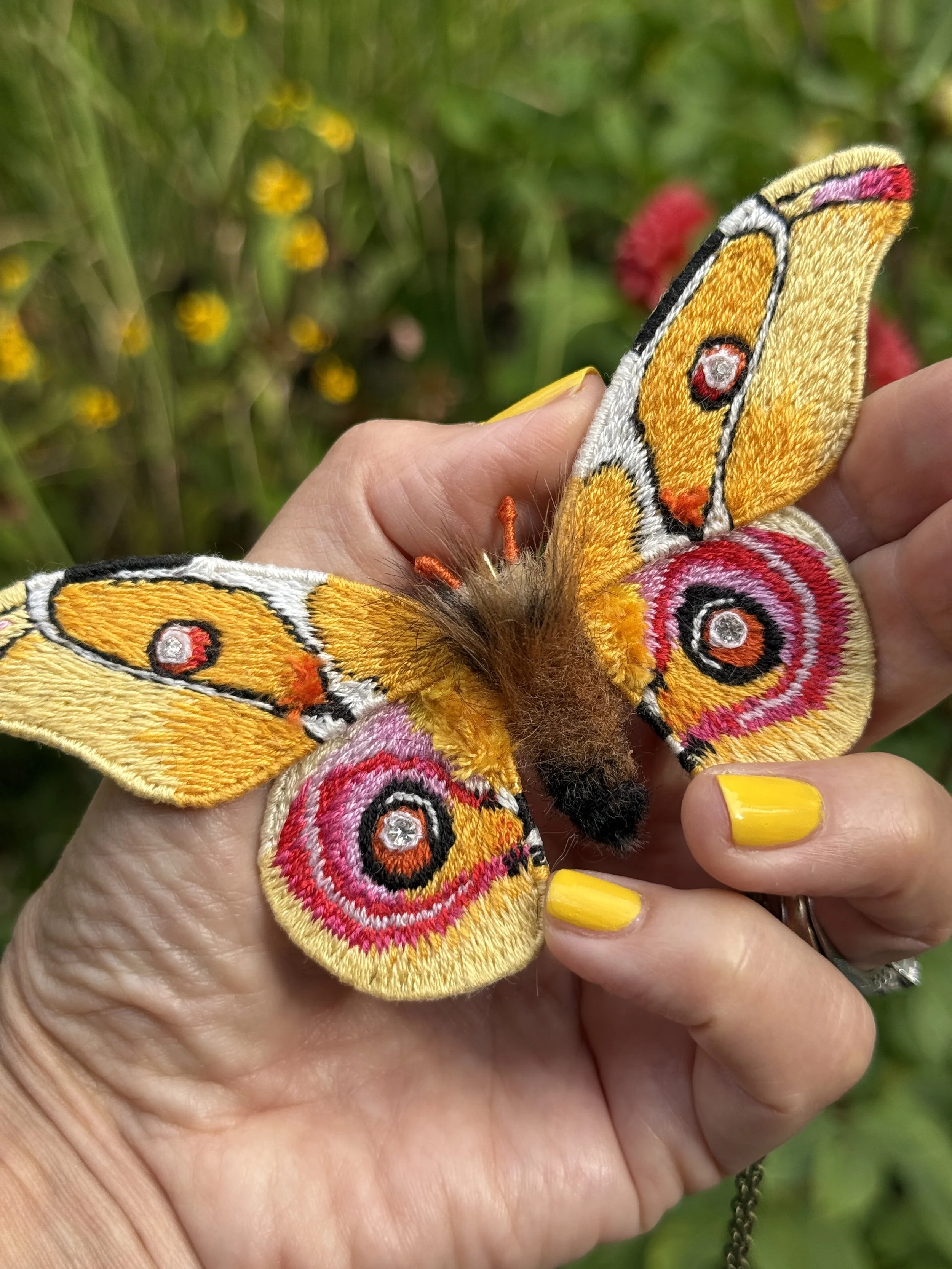 yellow butterfly Facci 1.JPG
