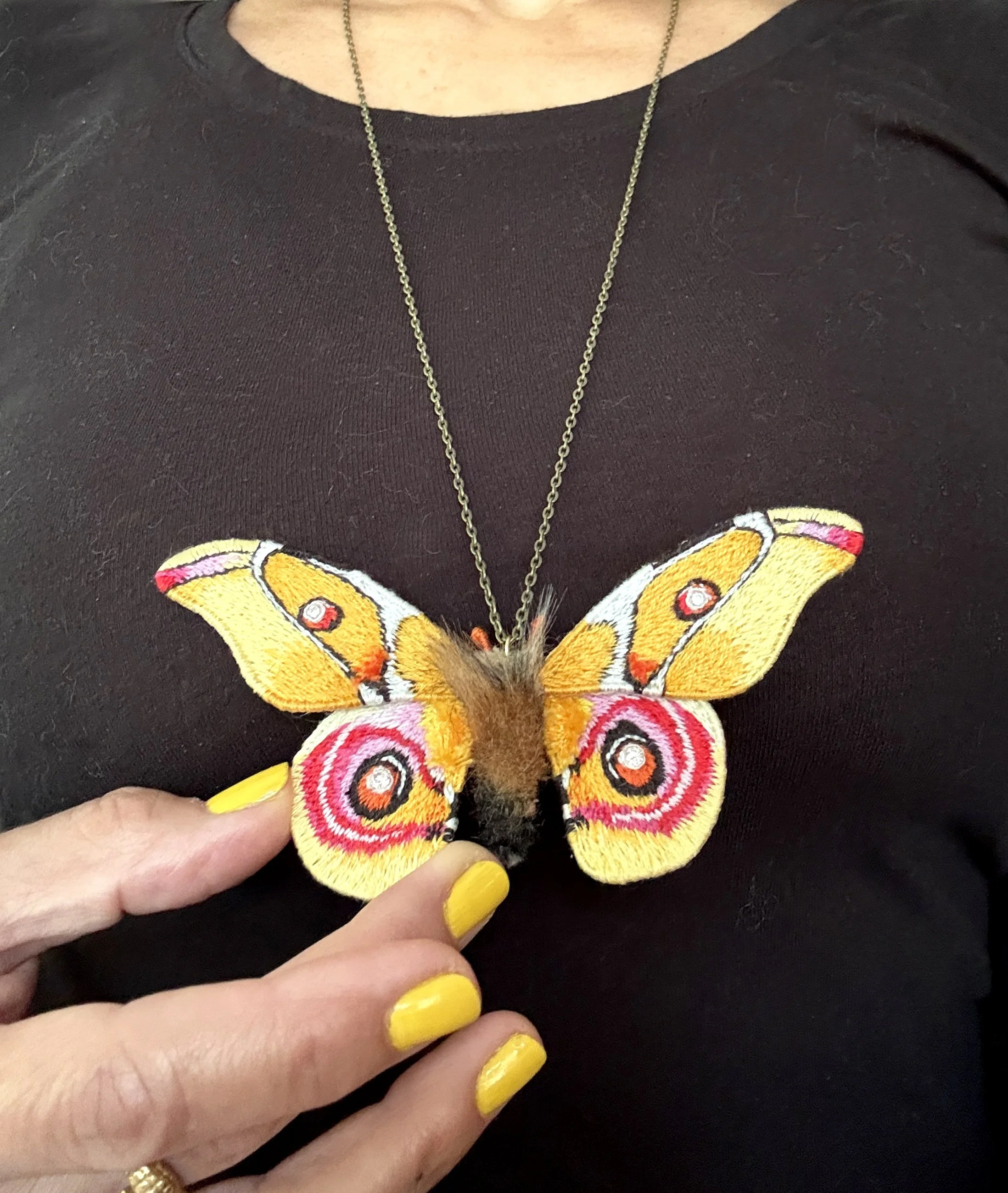 Y butterfly on shirt facci.jpg