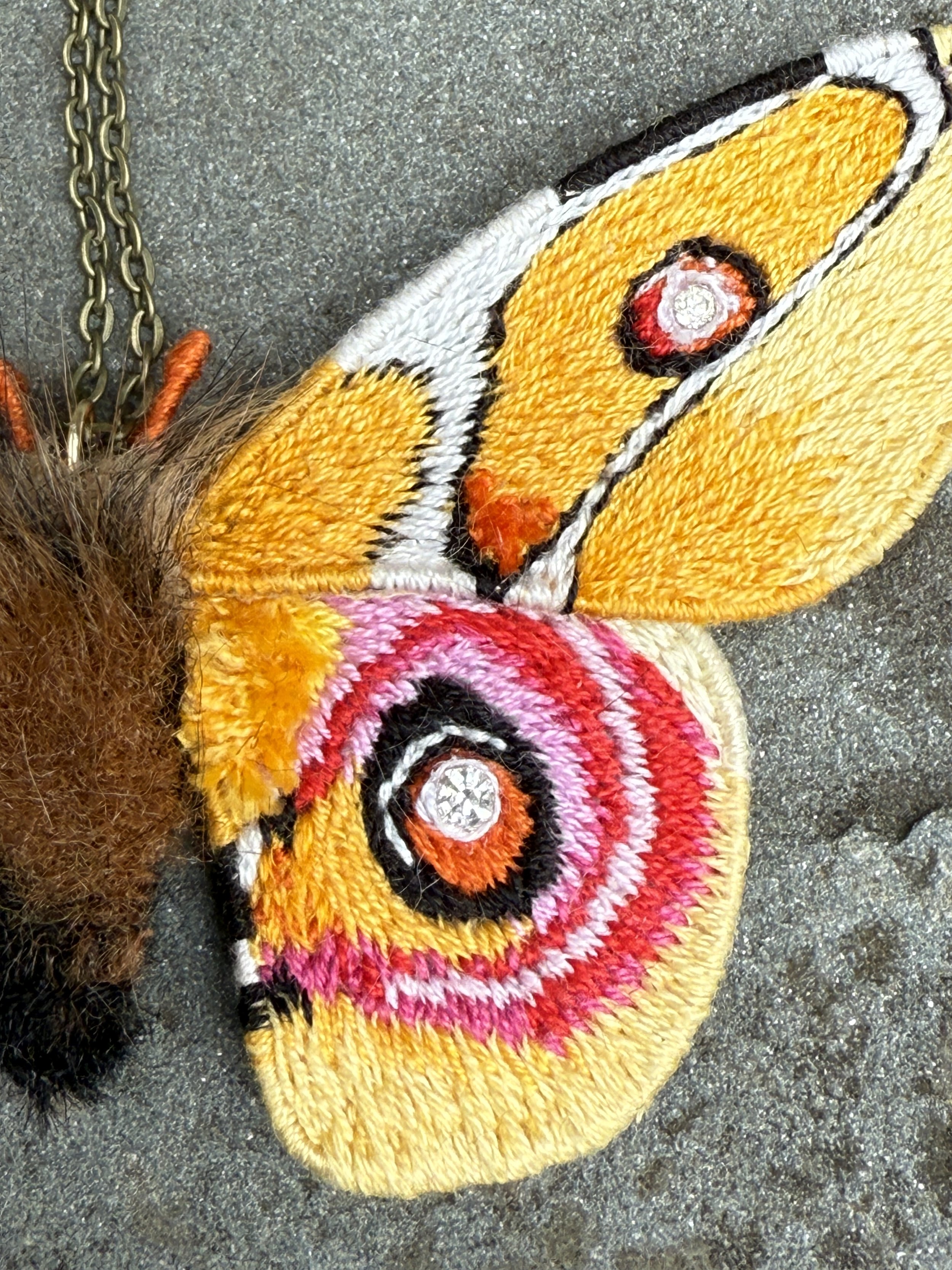 Y butterfly closeup facci.jpg