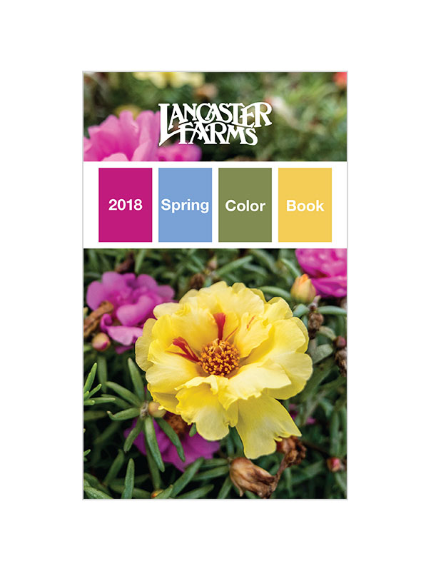 2018_spring_color.jpg
