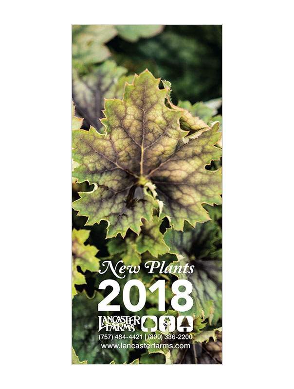 2018_new_plants.jpg