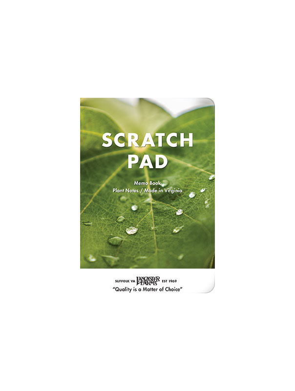SCRATCHPAD_2018_Pressready-1.jpg