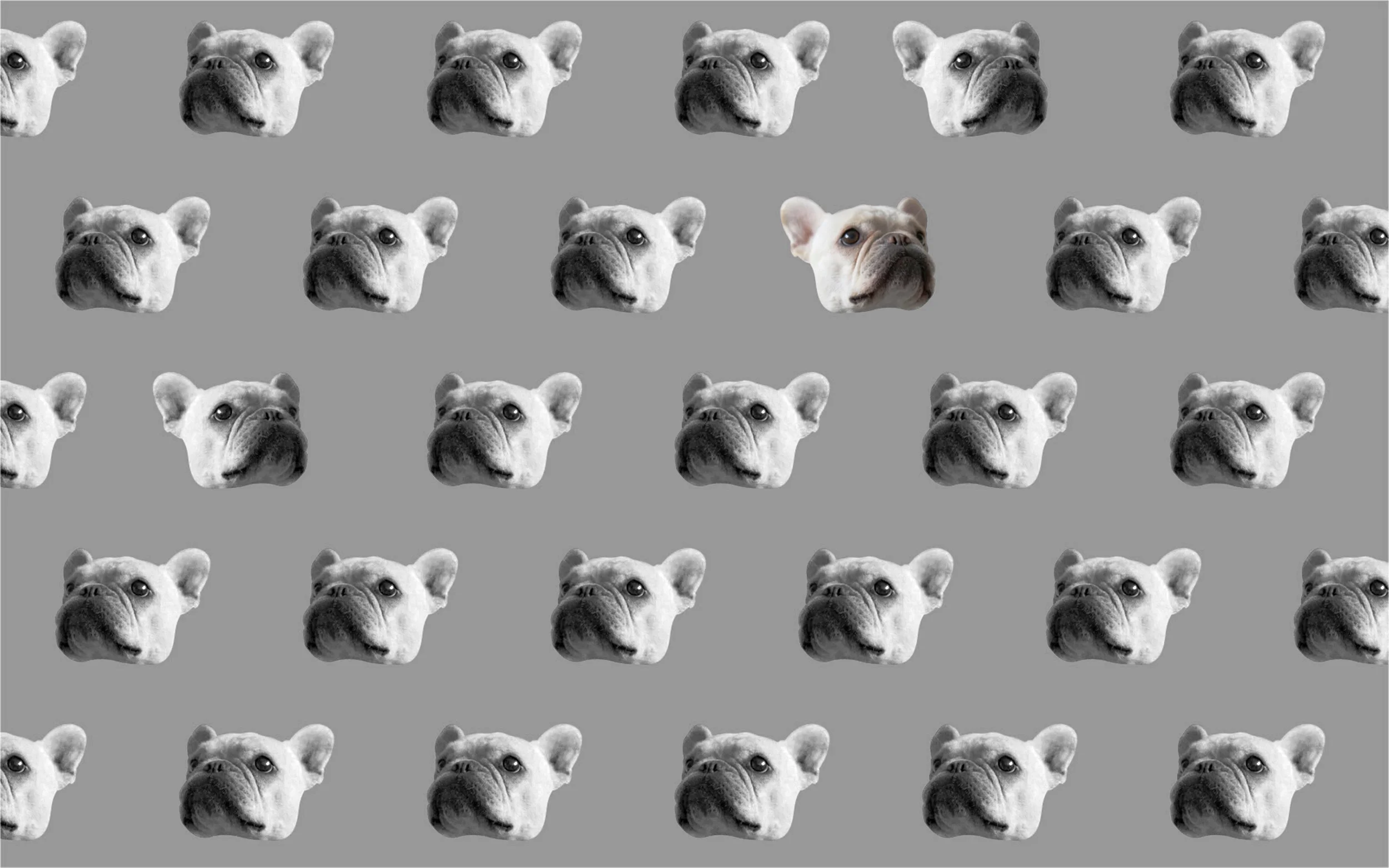 lola_bw_site_02.jpg