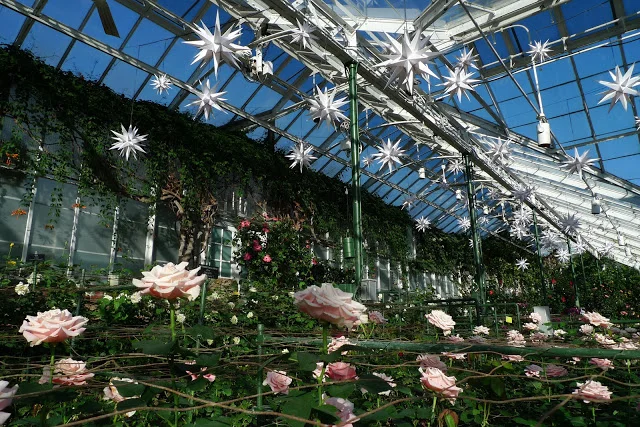 Christmas in the Country