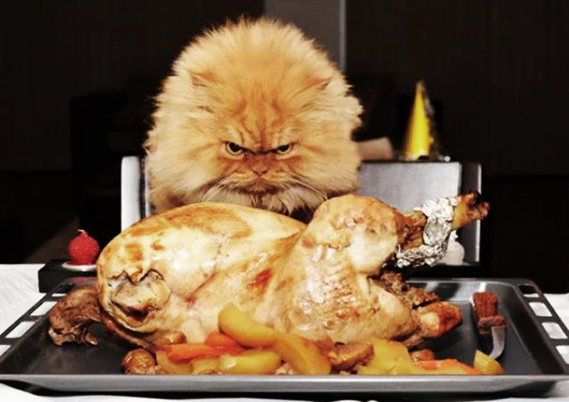 Happy Thanksgiving from SOLIFESTYLE!