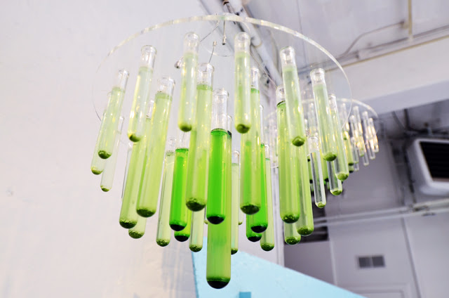 For Humankind Pop Up at Openhouse NYC