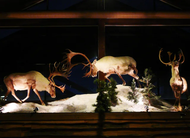 Nemacolin Woodlands Resort