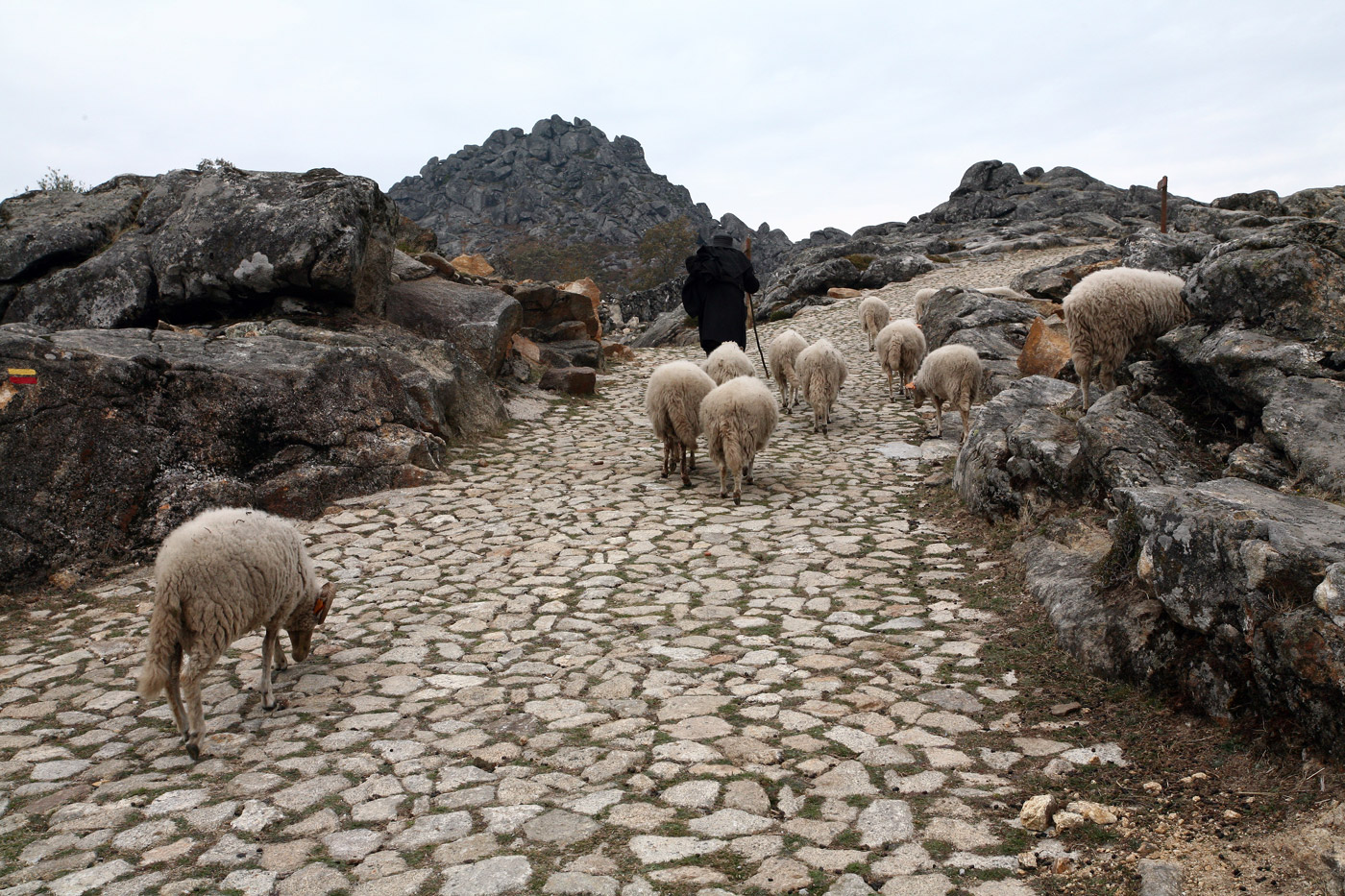 Everyone turn to channel 13 on your headset and follow me. Mizarela, Portugal