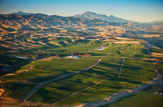 NZ's Awatere Valley, south of the Wairau Valley, within the Marlborough zone. In the Maori language, Awatere means "fast flowing stream", and the deep stony soils here are remnants of river paths.