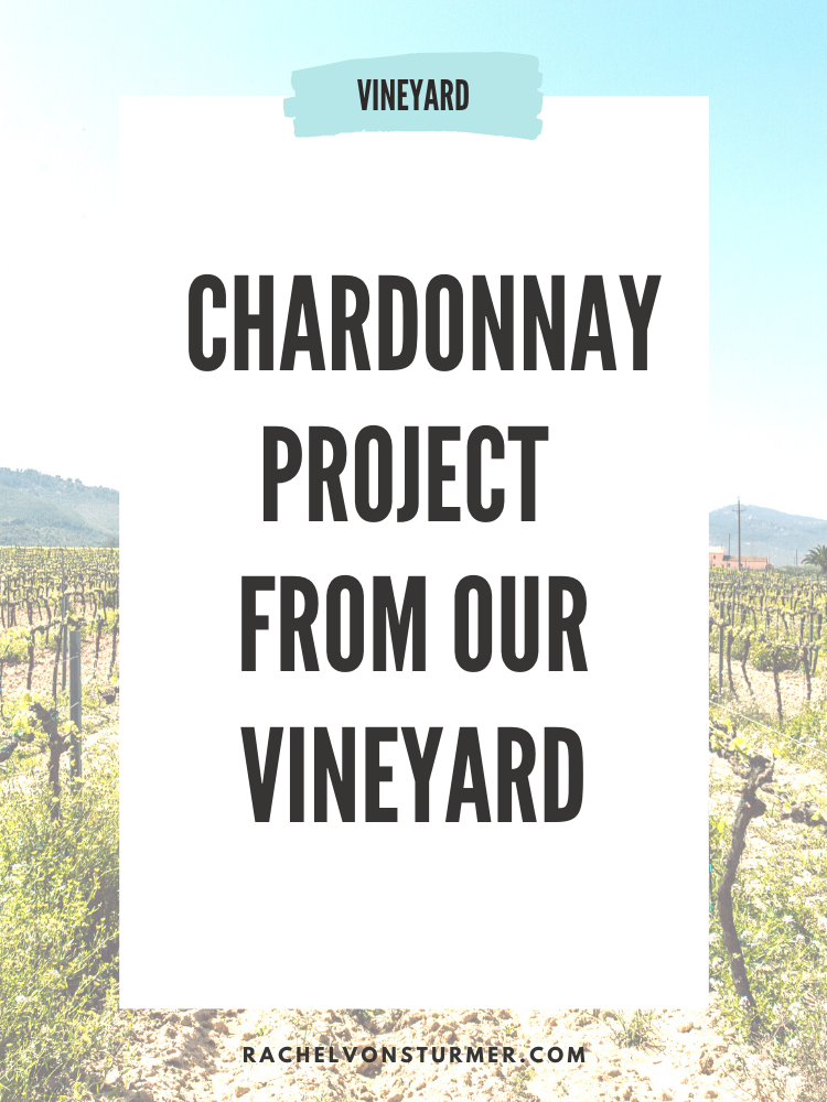 SIMILKAMEEN SPONSORSHIP: CHARDONNAY PROJECT FROM OUR VINEYARD