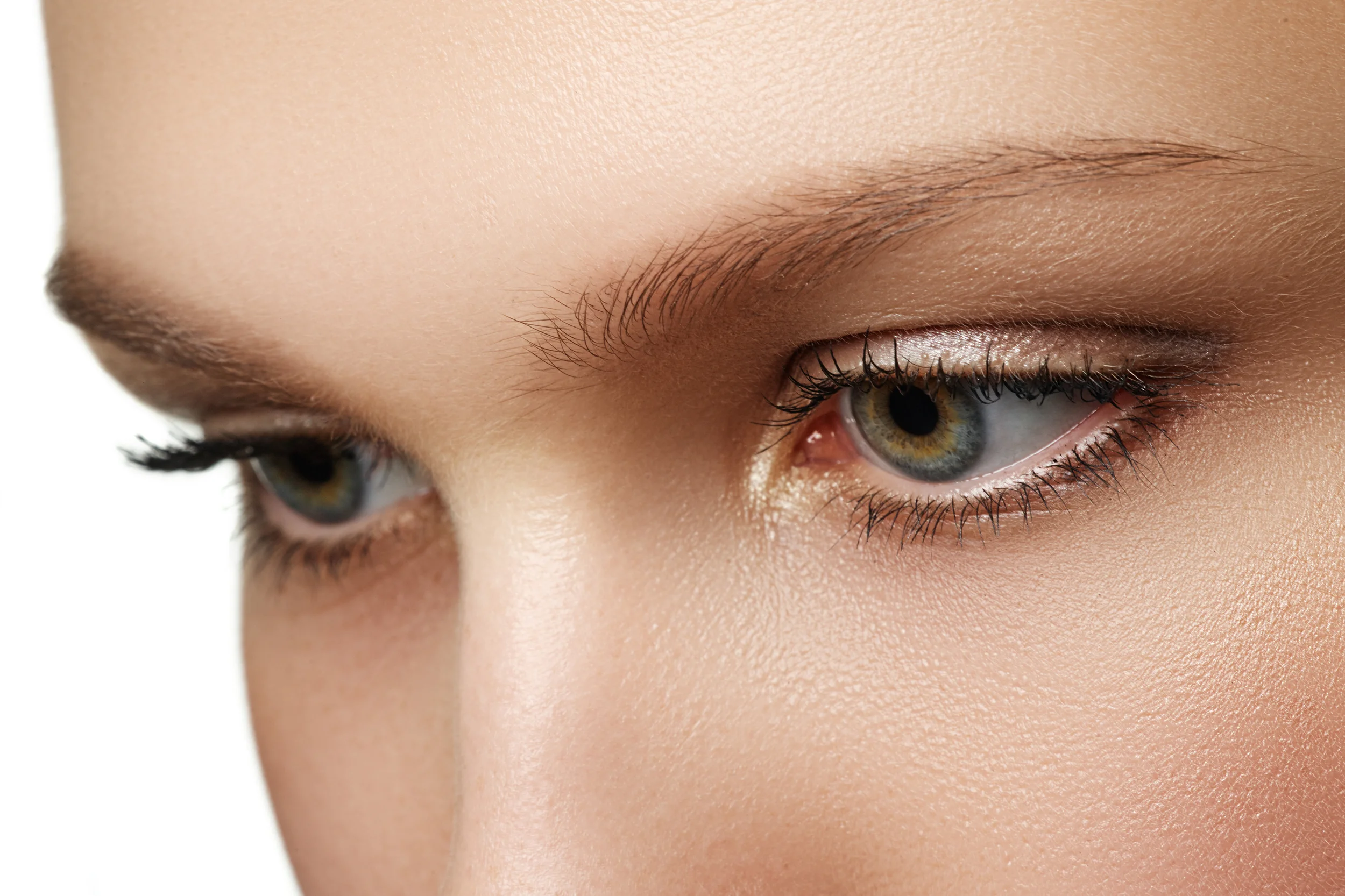 shutterstock_358405673.jpg