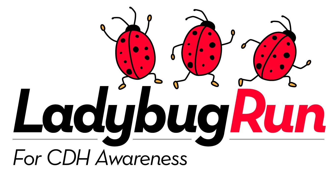 ladybug - logo.jpg