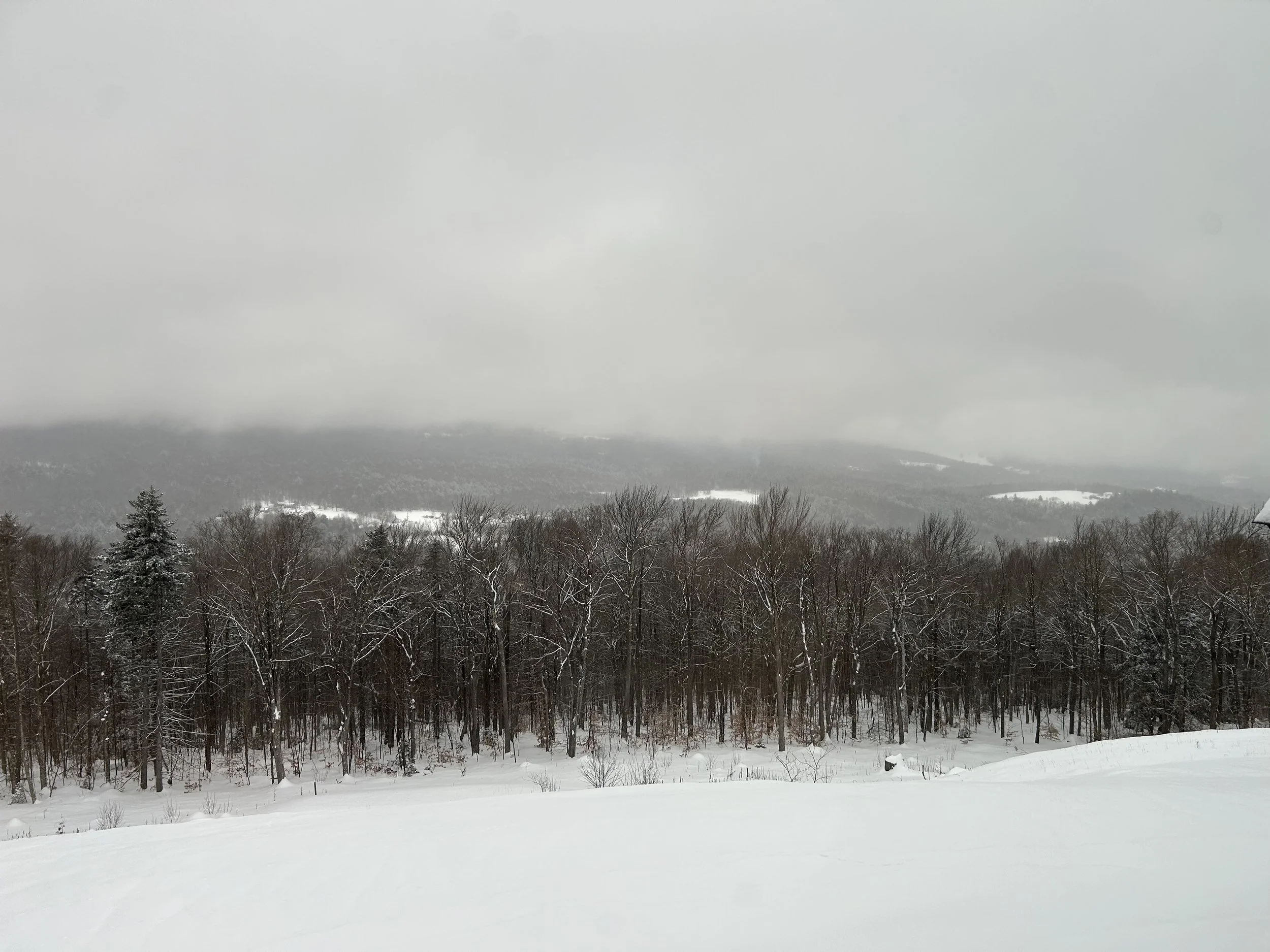 Vermont Residence