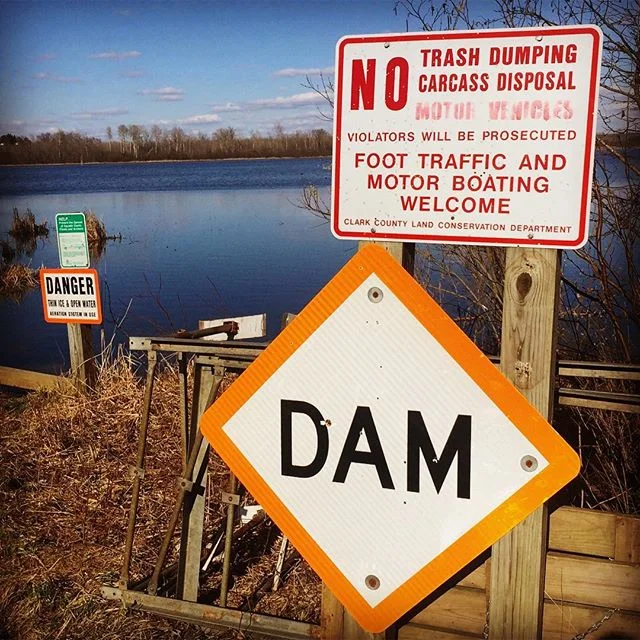 No Trash Dumping, sure. 
No carcass Disposal, reasonable but strange
Danger: Thin Ice, now it's getting weird. 
Wait a second, this lake doesn't even have a Dam!

How many carcasses were disposed of before a sign went up?
Is carcass disposal enough o