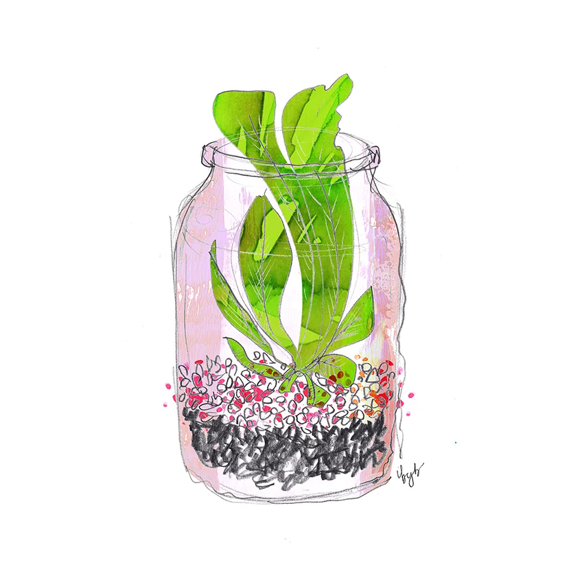ibyb_terrarium01.jpg