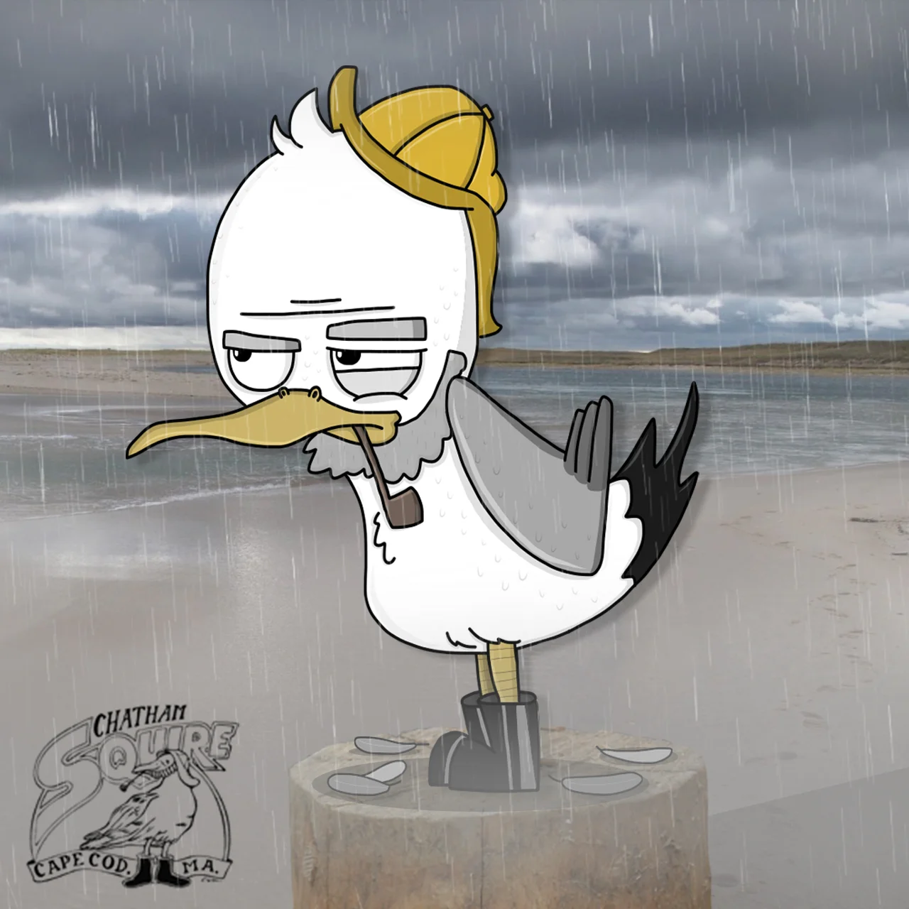 ChathamSquireSeagull.jpg